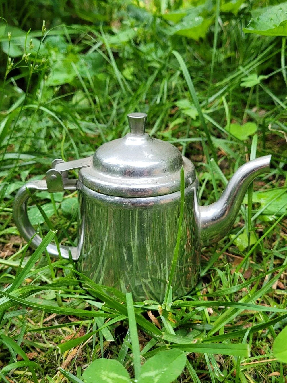 Stainless Steel Tea Pot Coffee Pot 1 Cup Silver Cream Cottagecore Farmhouse